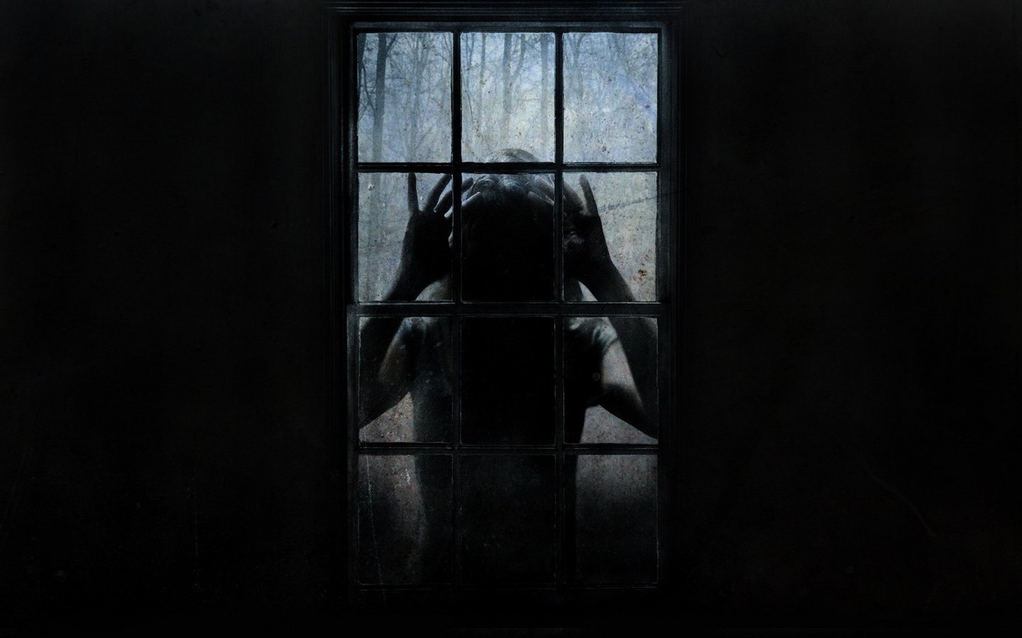 Обои чужой, окно, страх, ужас, stranger, window, fear, horror разрешение 1920x1200 Загрузить