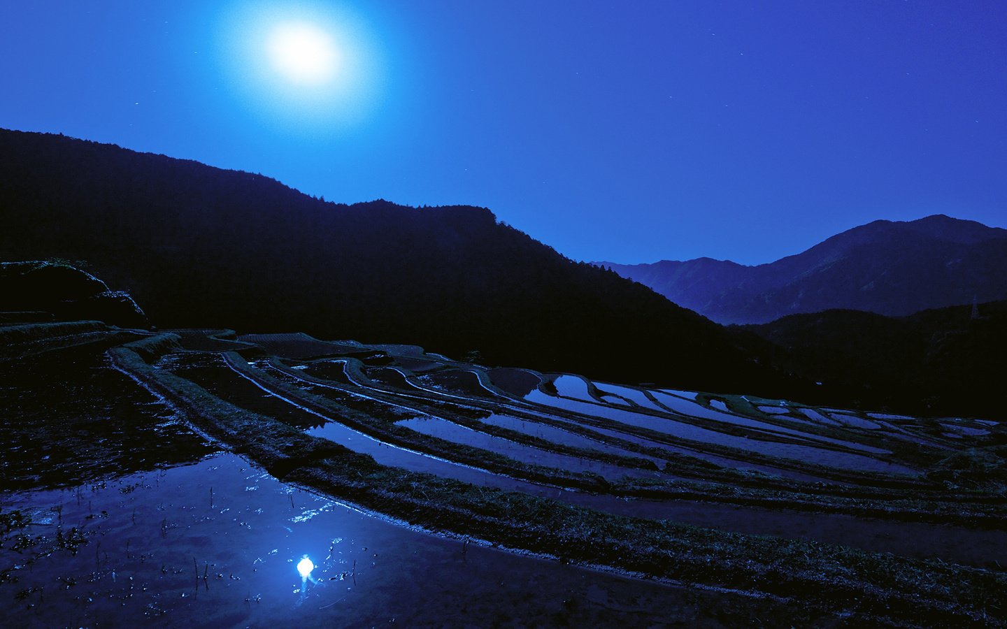 Обои ночь, луна, япония, японии, moon, рисовое поле, night, the moon, japan, rice field разрешение 1920x1080 Загрузить