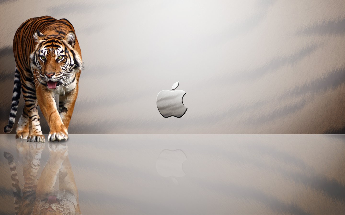 Обои тигр, эппл, tiger, apple разрешение 1920x1080 Загрузить