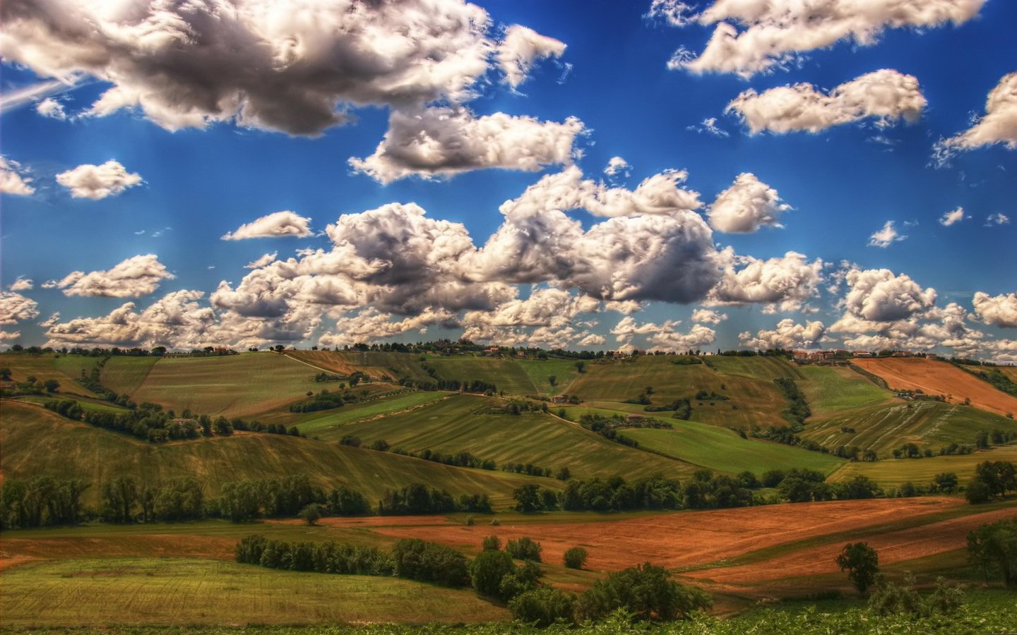 Обои небо, трава, облака, поле, the sky, grass, clouds, field разрешение 1920x1200 Загрузить