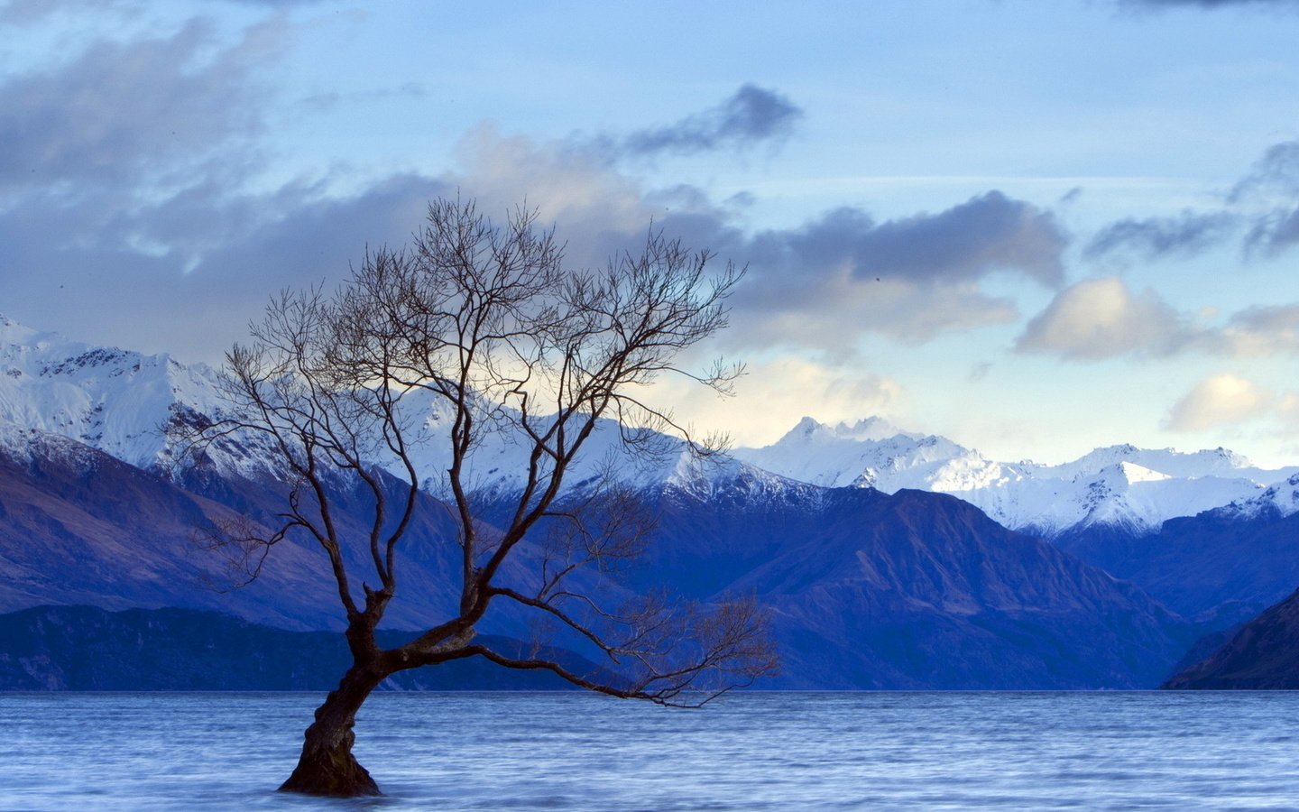 Обои небо, облака, озеро, горы, дерево, пейзаж, вершины, the sky, clouds, lake, mountains, tree, landscape, tops разрешение 1920x1080 Загрузить