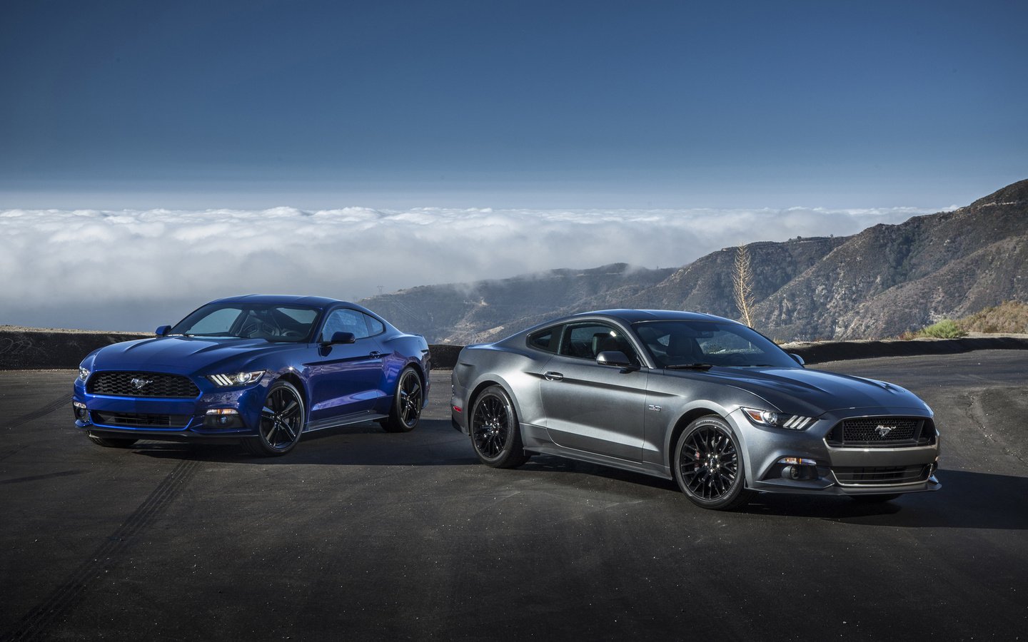 Обои мустанг, форд, ecoboost, 2015 год, гт, фон.jpg, mustang, ford, 2015, gt разрешение 2560x1600 Загрузить