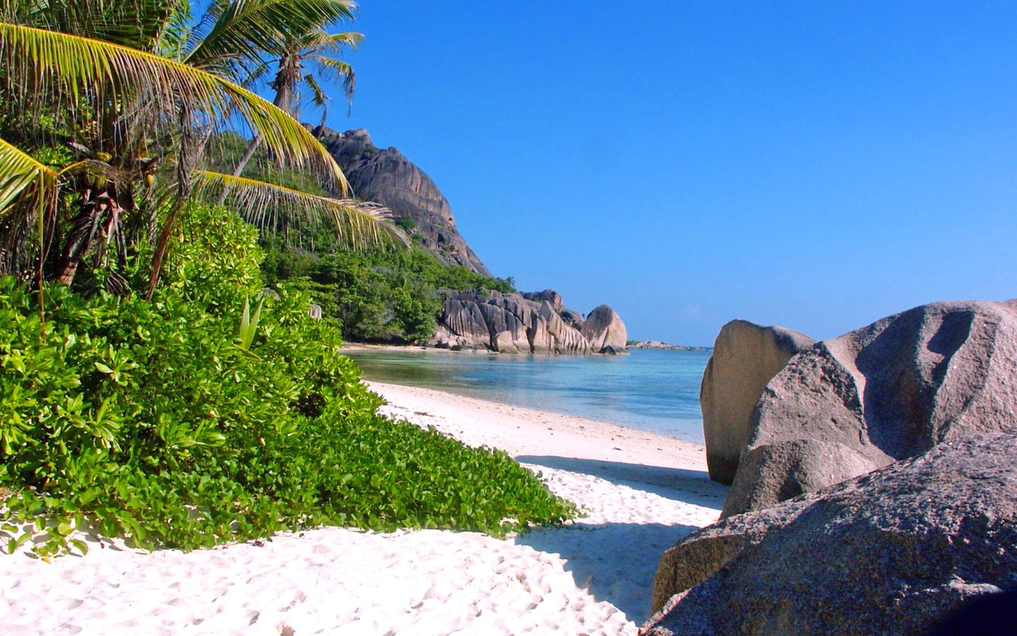 Обои камни, море, песок, пляж, тропики, stones, sea, sand, beach, tropics разрешение 1920x1200 Загрузить