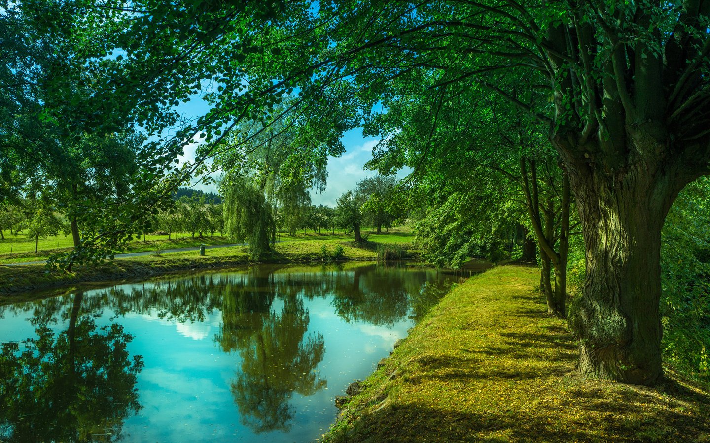 Обои деревья, река, trees, river разрешение 1920x1200 Загрузить