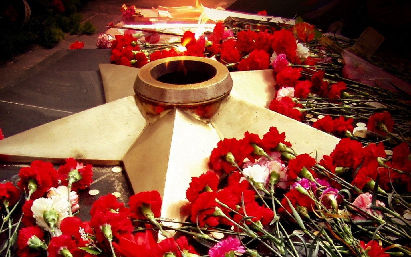 Обои цветы, звезда, день победы, 9 мая, вечный огонь, flowers, star, victory day, may 9, eternal flame разрешение 1920x1440 Загрузить