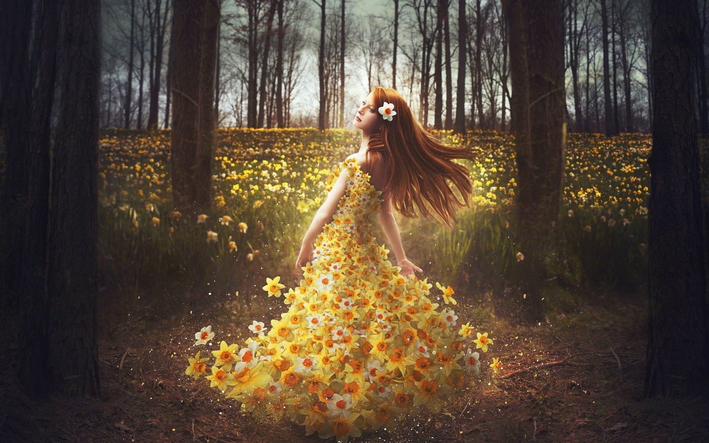 Обои цветы, лес, девушка, платье, нарциссы, рыжеволосая, shelby robinson, flowers, forest, girl, dress, daffodils, redhead разрешение 2048x1426 Загрузить