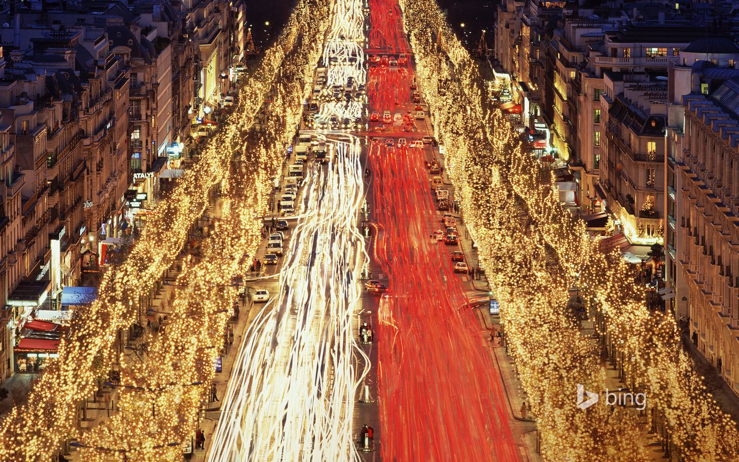 Обои париж, улица, елки, франция, рождество, елисейские поля, paris, street, tree, france, christmas, champs elysees разрешение 1920x1200 Загрузить