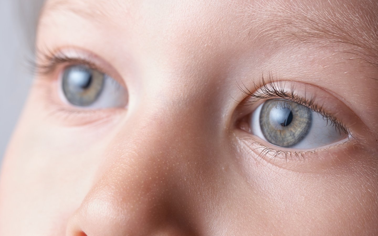 Обои дети, лицо, ребенок, голубые глаза, крупным планом, children, face, child, blue eyes, closeup разрешение 3888x2592 Загрузить