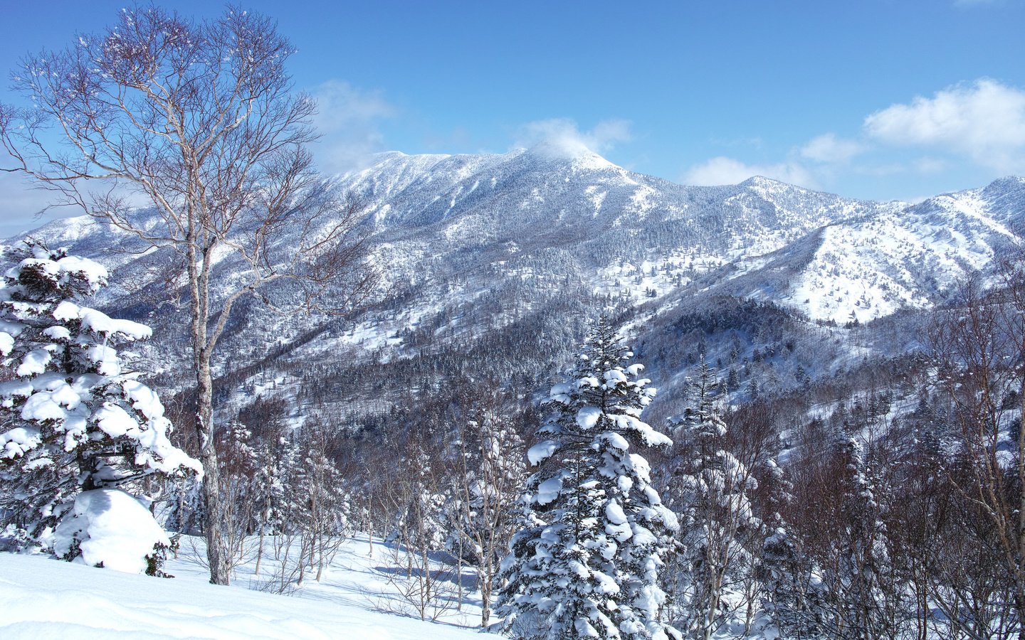 Обои небо, деревья, горы, снег, зима, пейзаж, склон, the sky, trees, mountains, snow, winter, landscape, slope разрешение 2048x1365 Загрузить