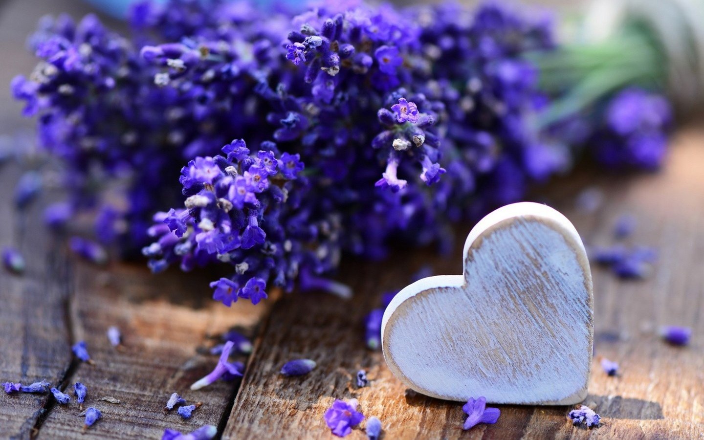 Обои цветы, лаванда, сердечко, сердце, букет, деревянная поверхность, flowers, lavender, heart, bouquet, wooden surface разрешение 2880x2560 Загрузить