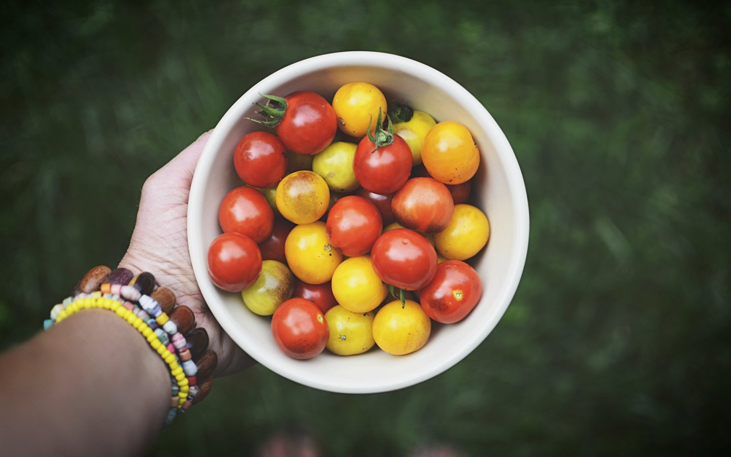 Обои рука, овощи, помидоры, томаты, hand, vegetables, tomatoes разрешение 6000x4000 Загрузить