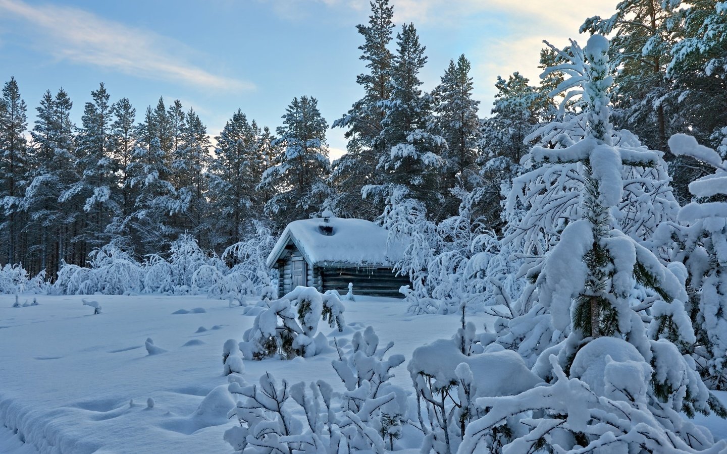 Обои деревья, снег, лес, зима, дом, trees, snow, forest, winter, house разрешение 2048x1340 Загрузить