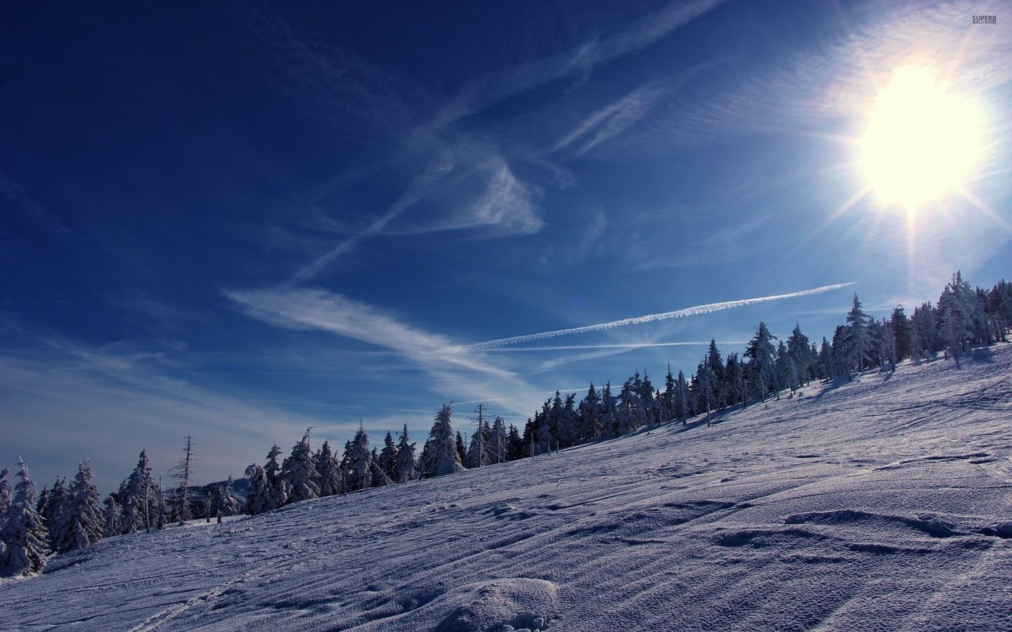 Обои небо, деревья, горы, солнце, снег, зима, the sky, trees, mountains, the sun, snow, winter разрешение 2560x1600 Загрузить