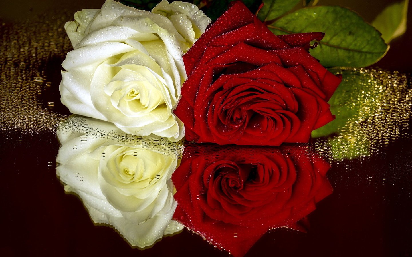 Обои цветы, капли, розы, разные, flowers, drops, roses, different разрешение 2048x1316 Загрузить
