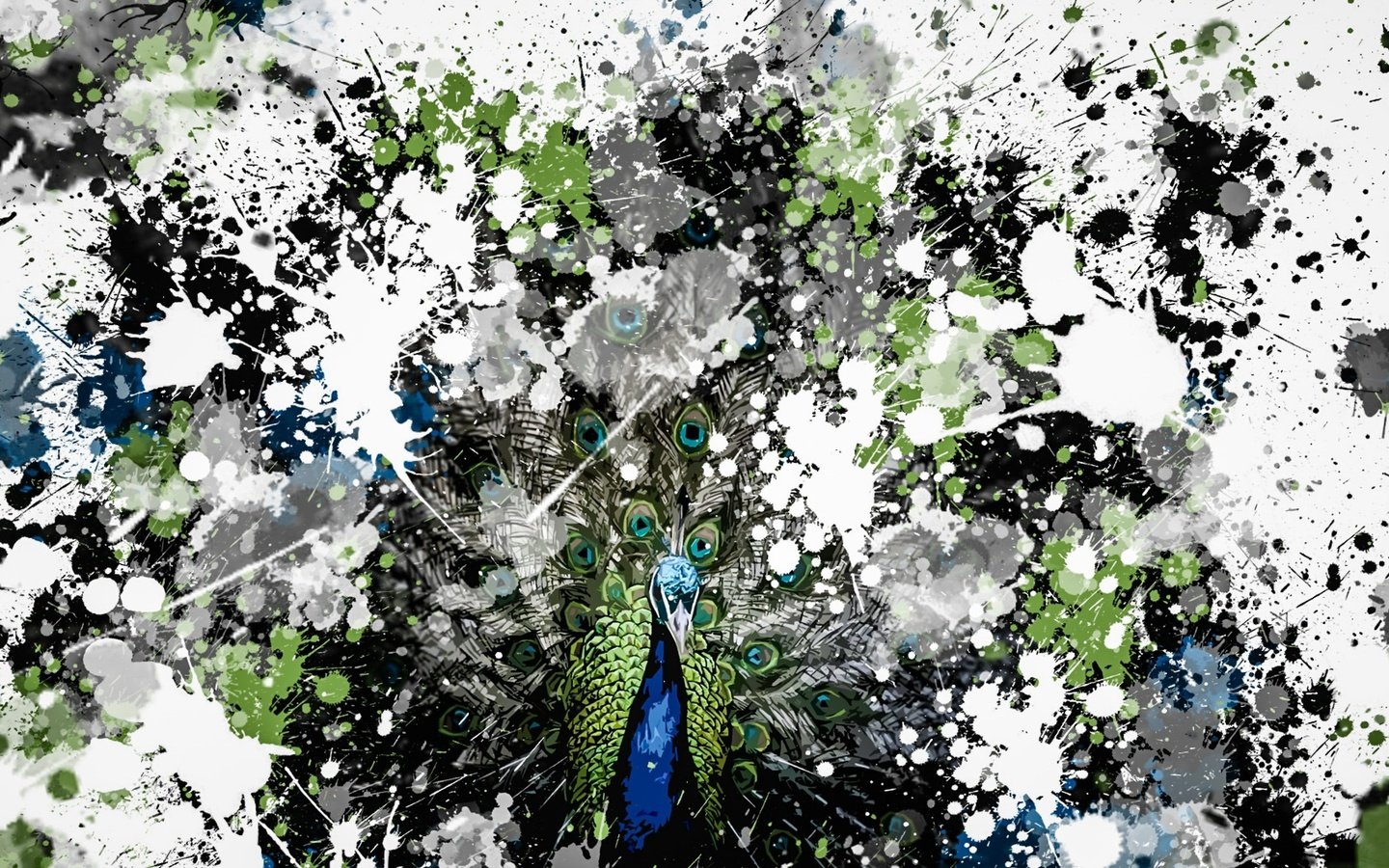 Обои фон, птица, павлин, background, bird, peacock разрешение 1920x1089 Загрузить