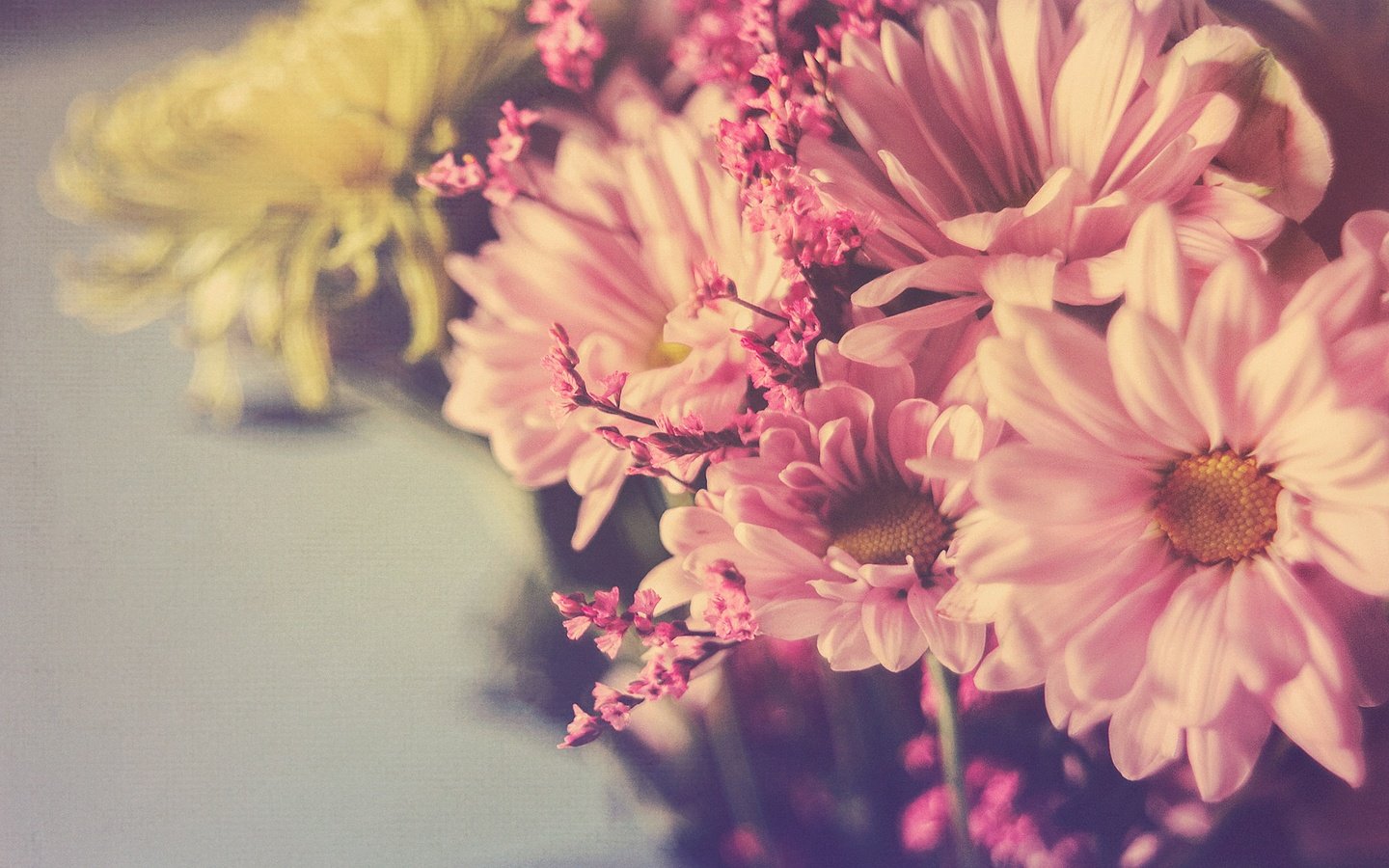 Обои цветы, лепестки, букет, хризантемы, боке, flowers, petals, bouquet, chrysanthemum, bokeh разрешение 2048x1365 Загрузить