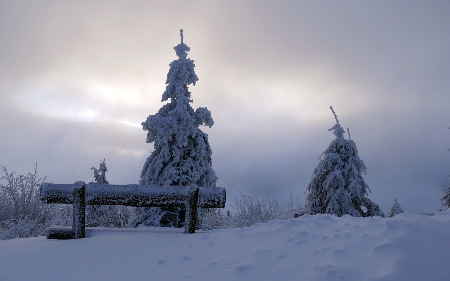 Обои снег, дерево, зима, утро, скамья, snow, tree, winter, morning, bench разрешение 3888x2592 Загрузить