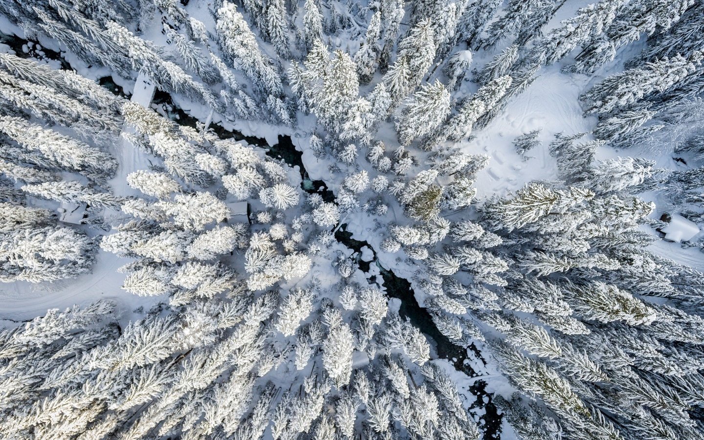 Обои снег, лес, зима, вид сверху, ели, snow, forest, winter, the view from the top, ate разрешение 2048x1535 Загрузить