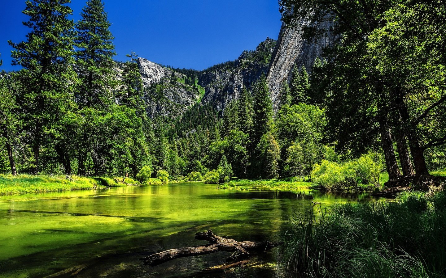 Обои деревья, ка­ли­фор­нийс­кая, река, река мерсед, горы, merced river, йосемитский национальный парк., сша, калифорния, йосемити, йосемитский национальный парк, сьерра-невада, trees, california, river, the merced river, mountains, usa, ca, yosemite, yosemite national park, sierra nevada разрешение 2048x1365 Загрузить