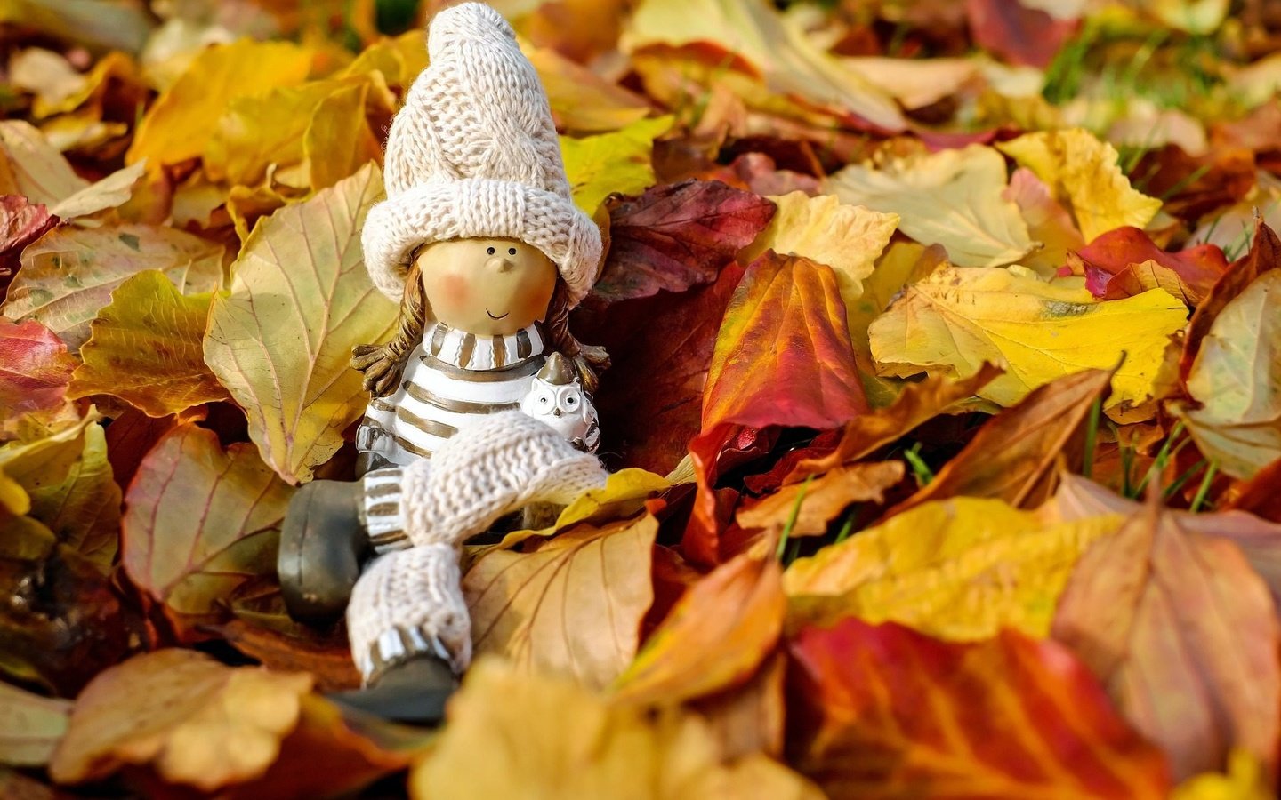 Обои природа, осень, игрушка, кукла, шапочка, фигурка, осенние листья, nature, autumn, toy, doll, cap, figure, autumn leaves разрешение 1920x1280 Загрузить