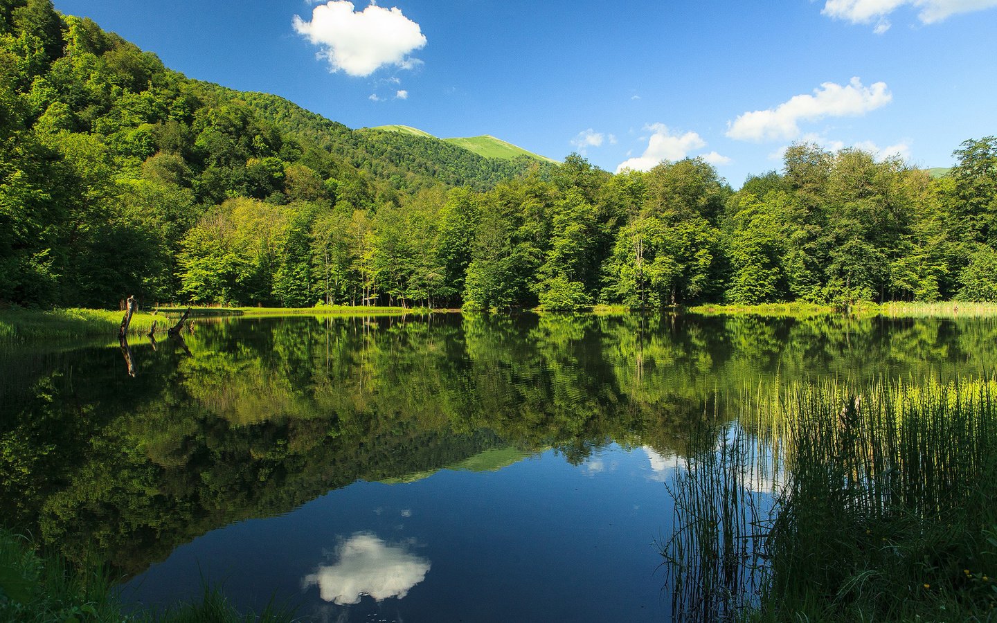 Обои небо, облака, озеро, природа, лес, отражение, the sky, clouds, lake, nature, forest, reflection разрешение 1920x1200 Загрузить