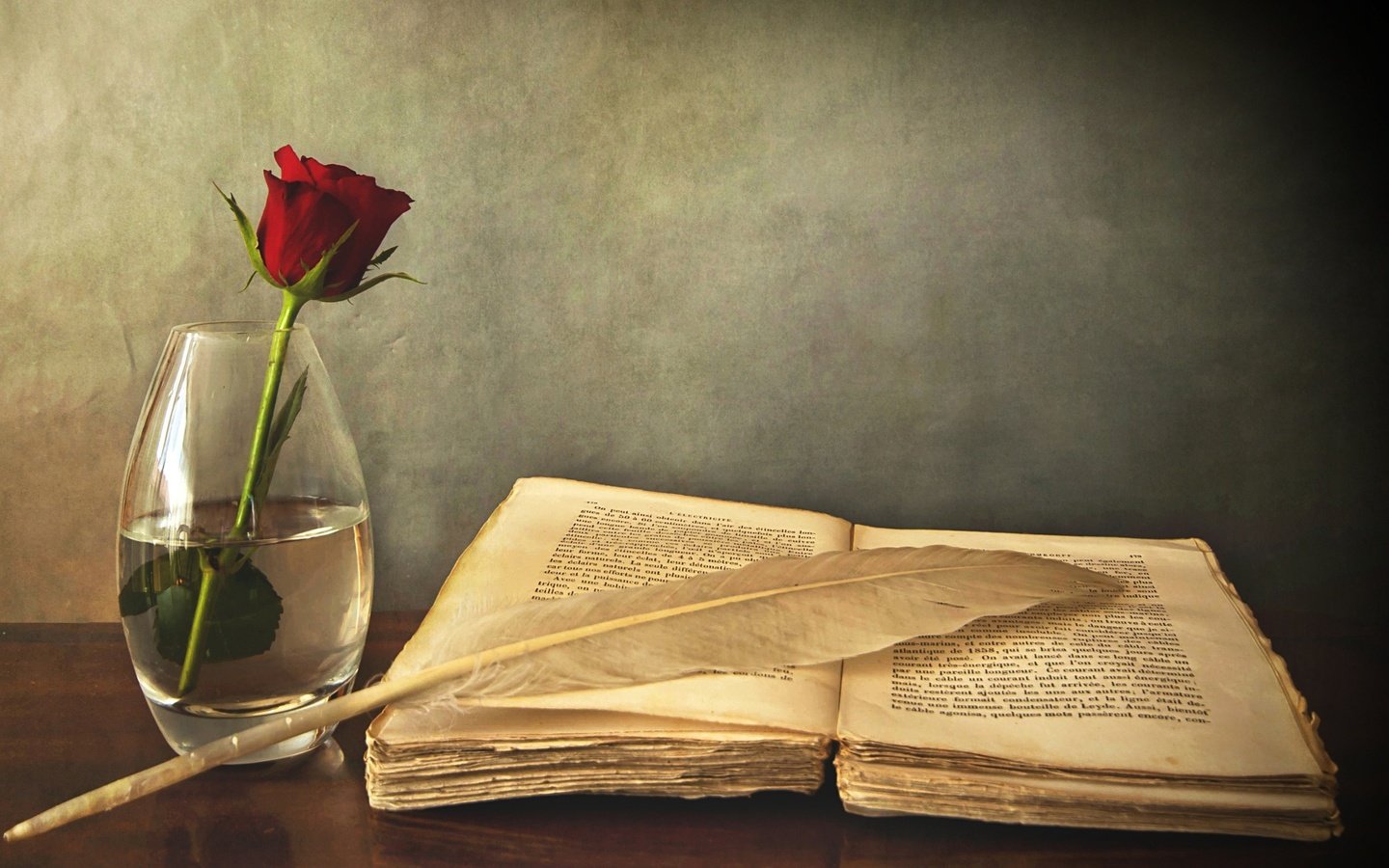 Обои роза, красная, стол, ваза, книга, перо, старая, rose, red, table, vase, book, pen, old разрешение 2560x1600 Загрузить