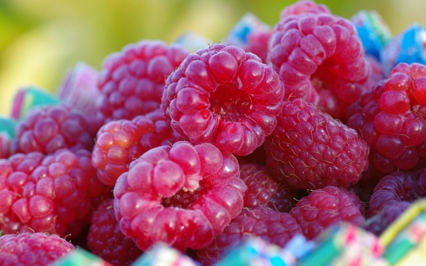 Обои малина, ягода, ягоды, крупным планом, raspberry, berry, berries, closeup разрешение 1920x1080 Загрузить