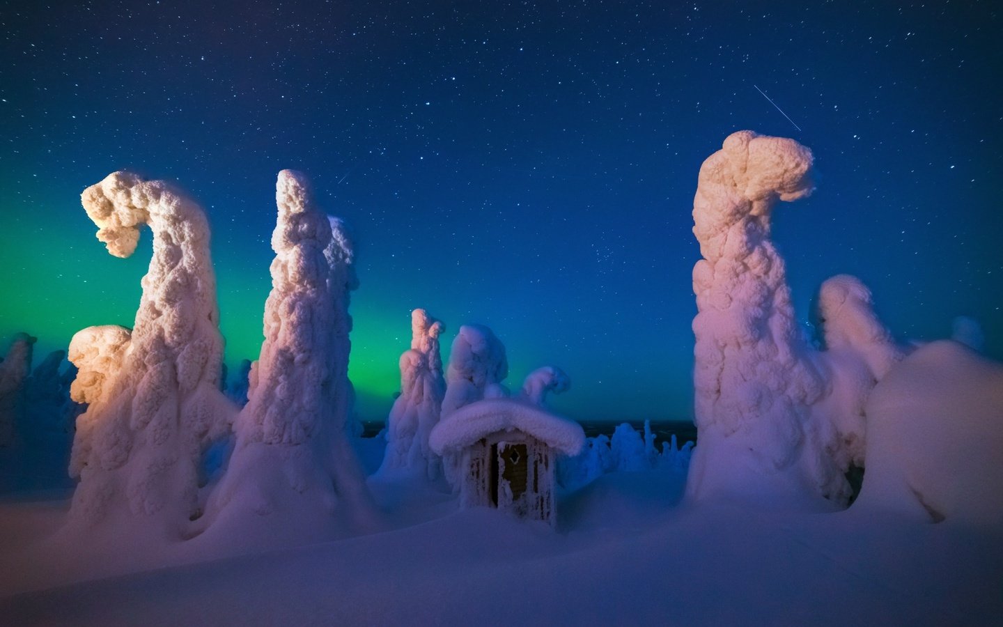 Обои ночь, деревья, снег, природа, лес, зима, домик, night, trees, snow, nature, forest, winter, house разрешение 1920x1200 Загрузить