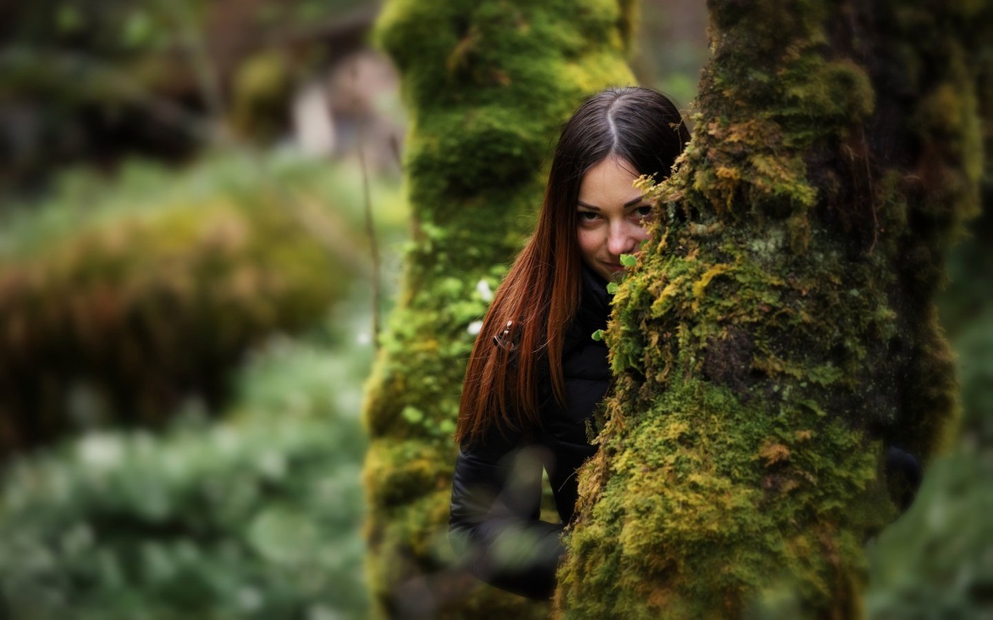 Обои деревья, девушка, взгляд, мох, волосы, trees, girl, look, moss, hair разрешение 2048x1292 Загрузить