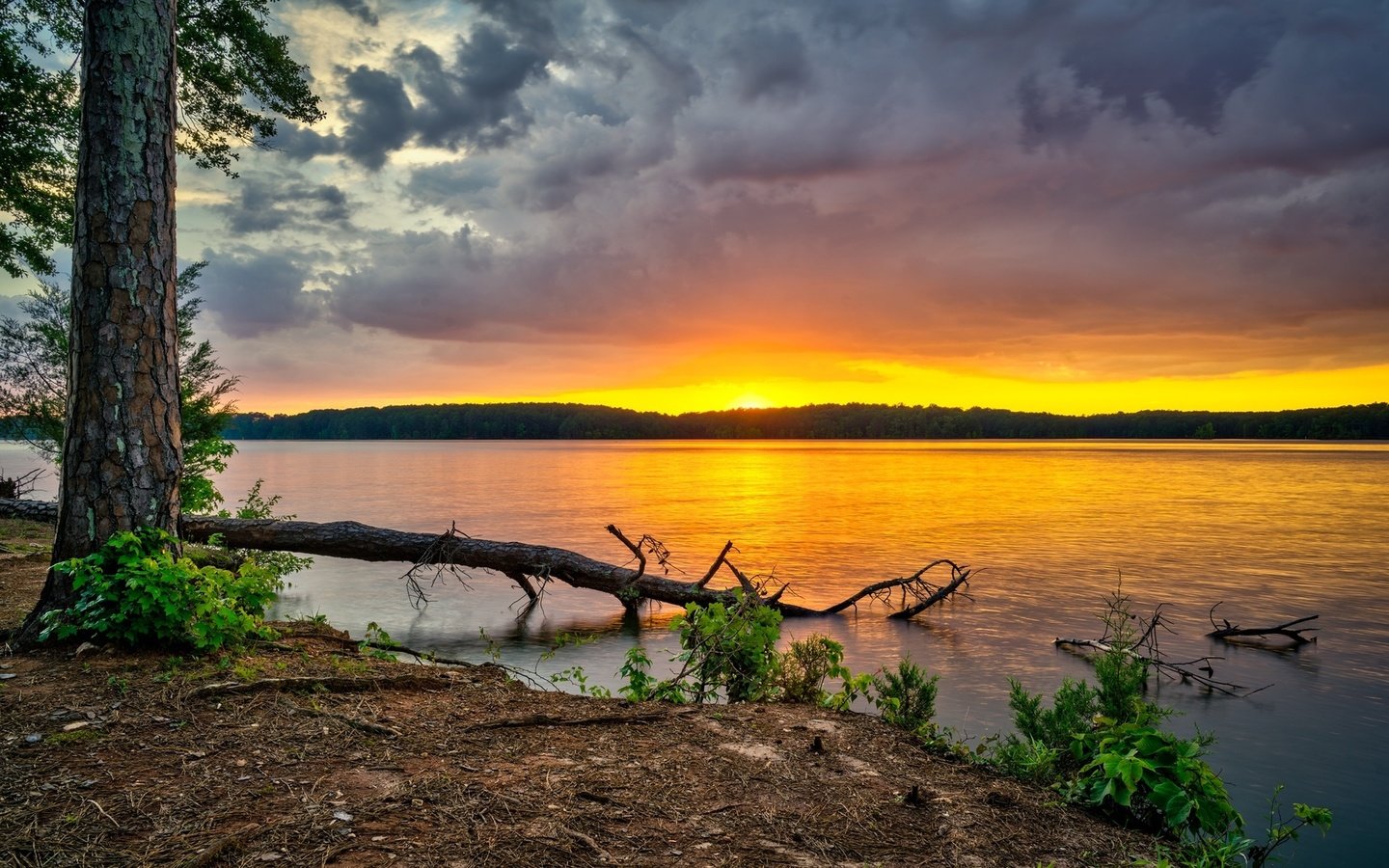 Обои небо, west point lake, деревья, река, лес, тучи, рассвет, сша, грузия, the sky, trees, river, forest, clouds, dawn, usa, georgia разрешение 1920x1200 Загрузить