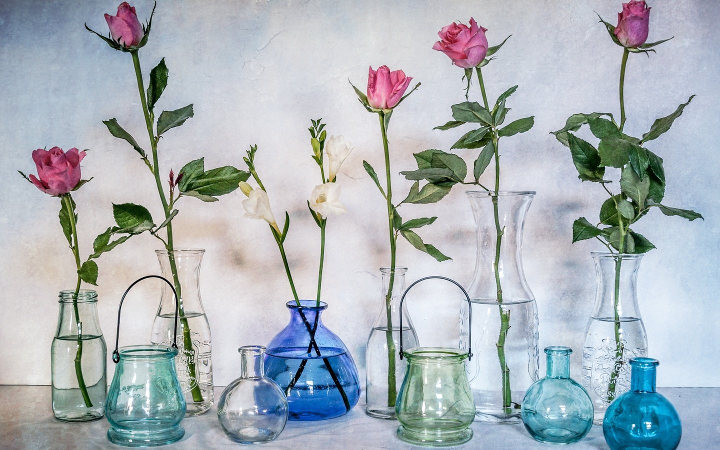 Обои цветы, розы, стекло, бутылки, натюрморт, банки, вазы, flowers, roses, glass, bottle, still life, banks, vases разрешение 2560x1761 Загрузить