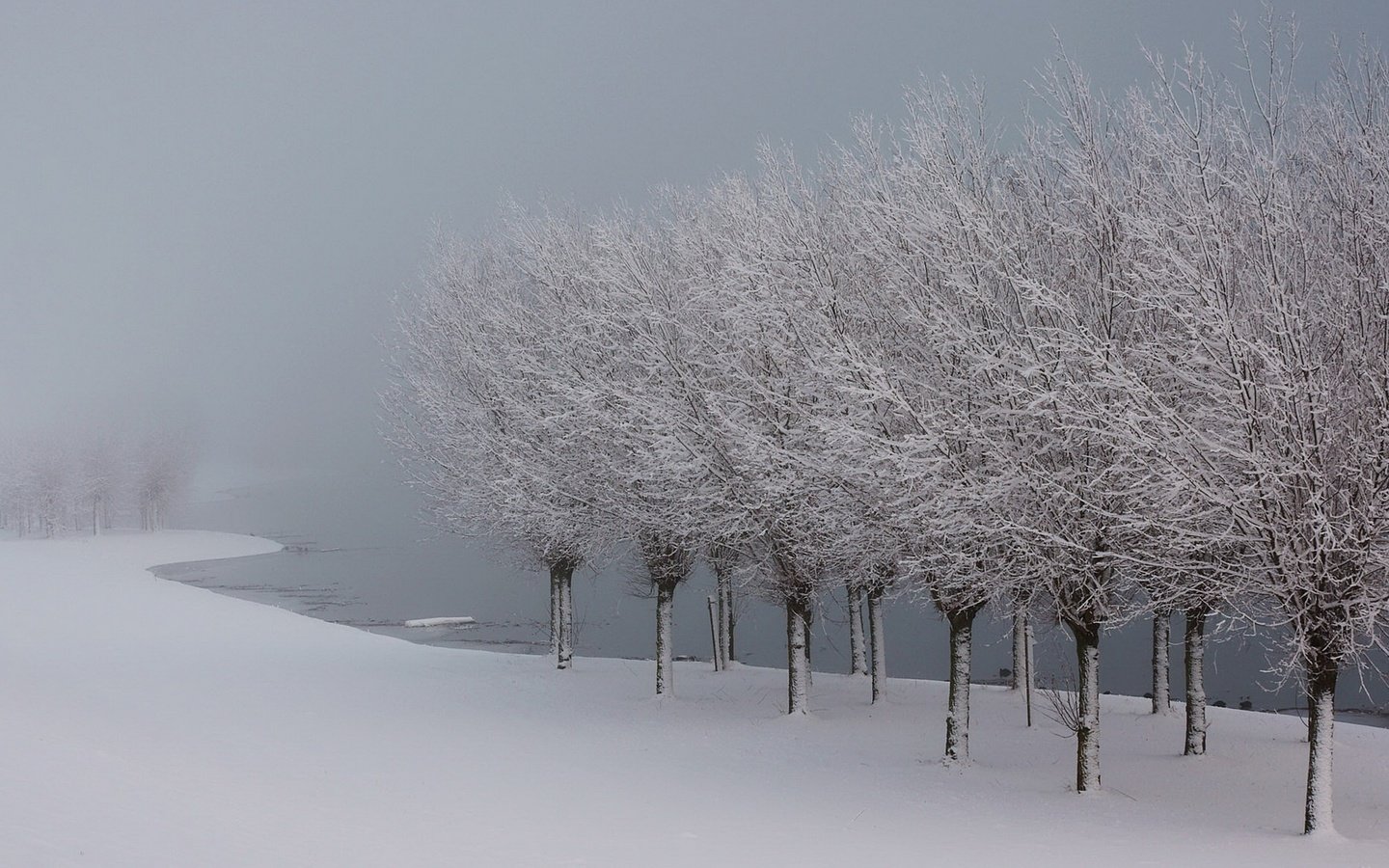 Обои деревья, озеро, снег, зима, иней, лёд, trees, lake, snow, winter, frost, ice разрешение 1920x1080 Загрузить