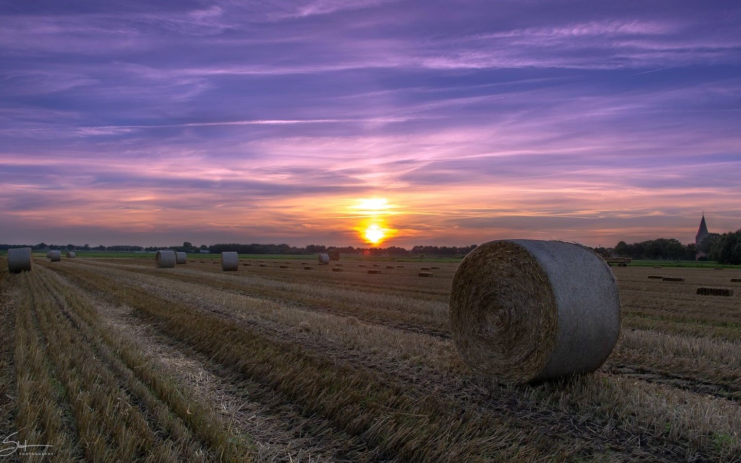 Обои небо, облака, закат, поле, сено, лето, тюки, рулоны, the sky, clouds, sunset, field, hay, summer, bales, rolls разрешение 2048x1152 Загрузить