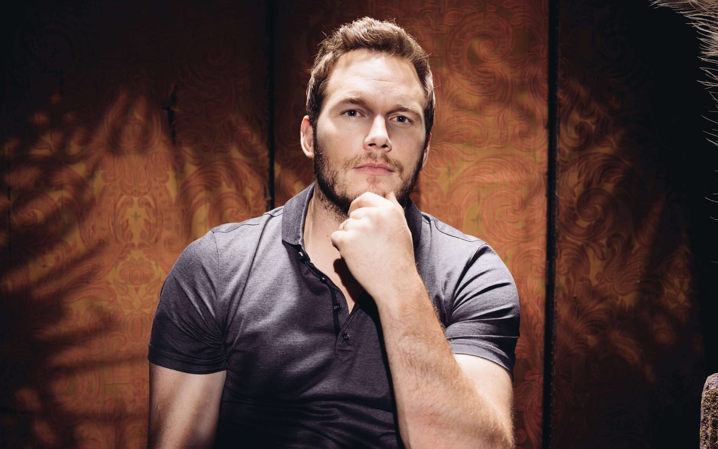 Обои взгляд, актёр, лицо, знаменитост, крис прэтт, look, actor, face, celebrity, chris pratt разрешение 5760x3824 Загрузить