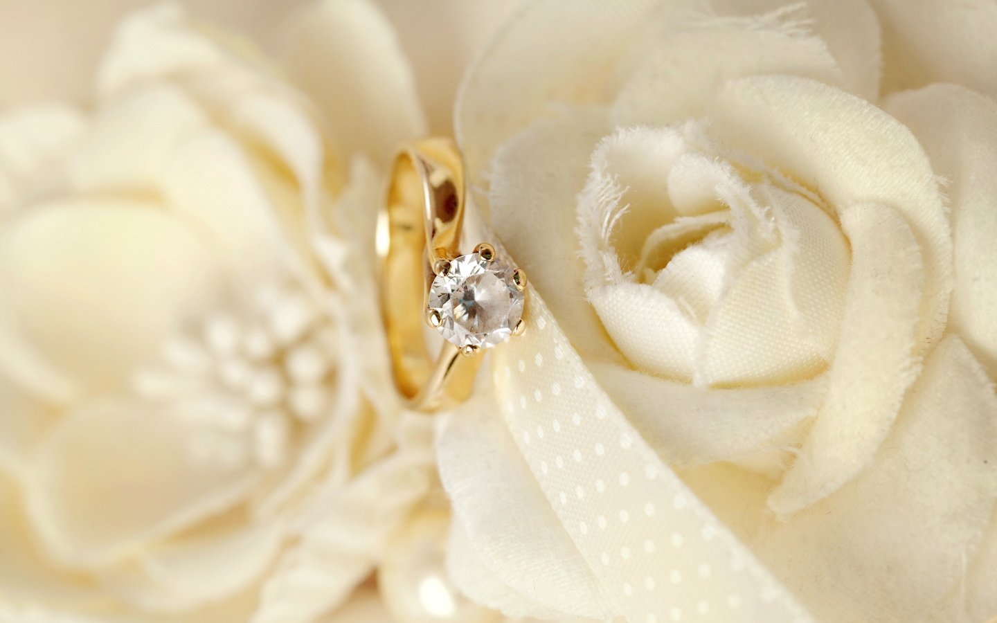Обои цветы, кольцо, свадьба, праздник, wedding-background-flowers, flowers, ring, wedding, holiday разрешение 5616x3744 Загрузить