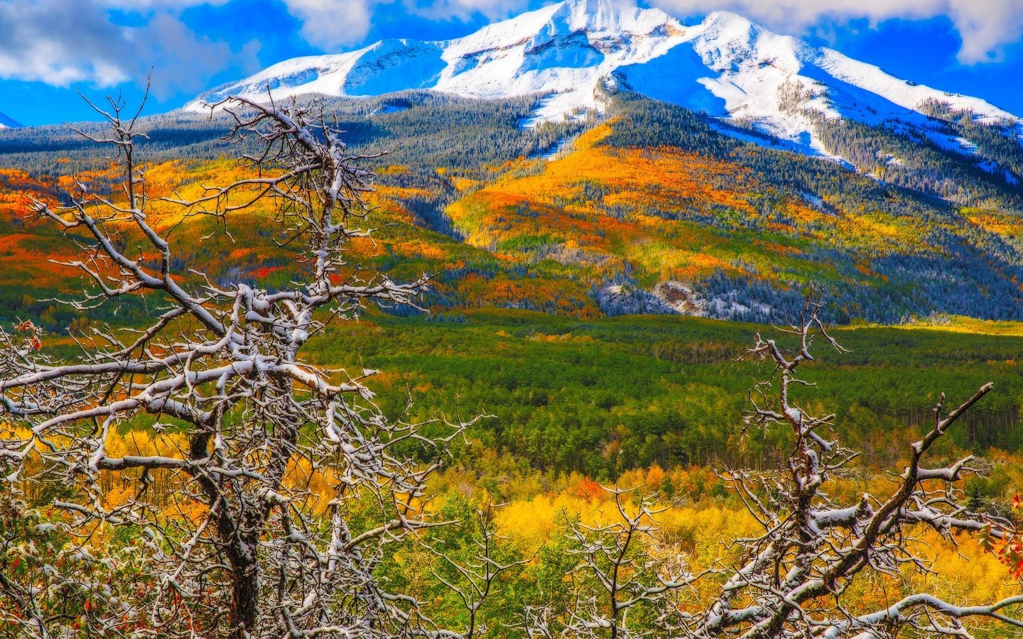 Обои деревья, горы, снег, осень, колорадо, аспен, trees, mountains, snow, autumn, colorado, aspen разрешение 1951x1390 Загрузить