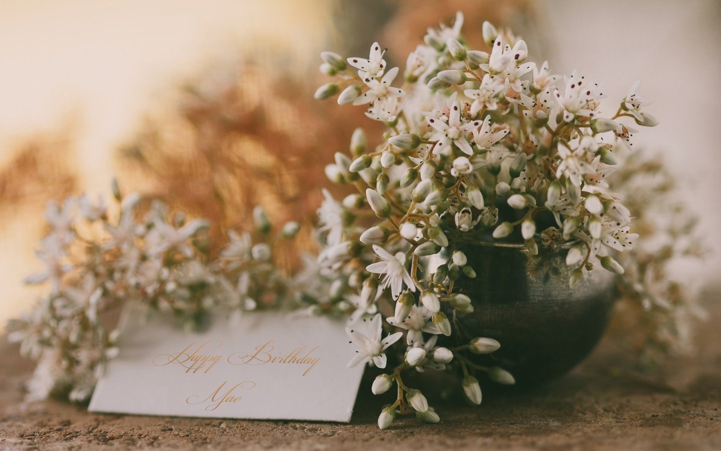 Обои цветы, открытка, поздравления, с днем ​​рождения, flowers, postcard, congratulations, happy birthday разрешение 2048x1229 Загрузить