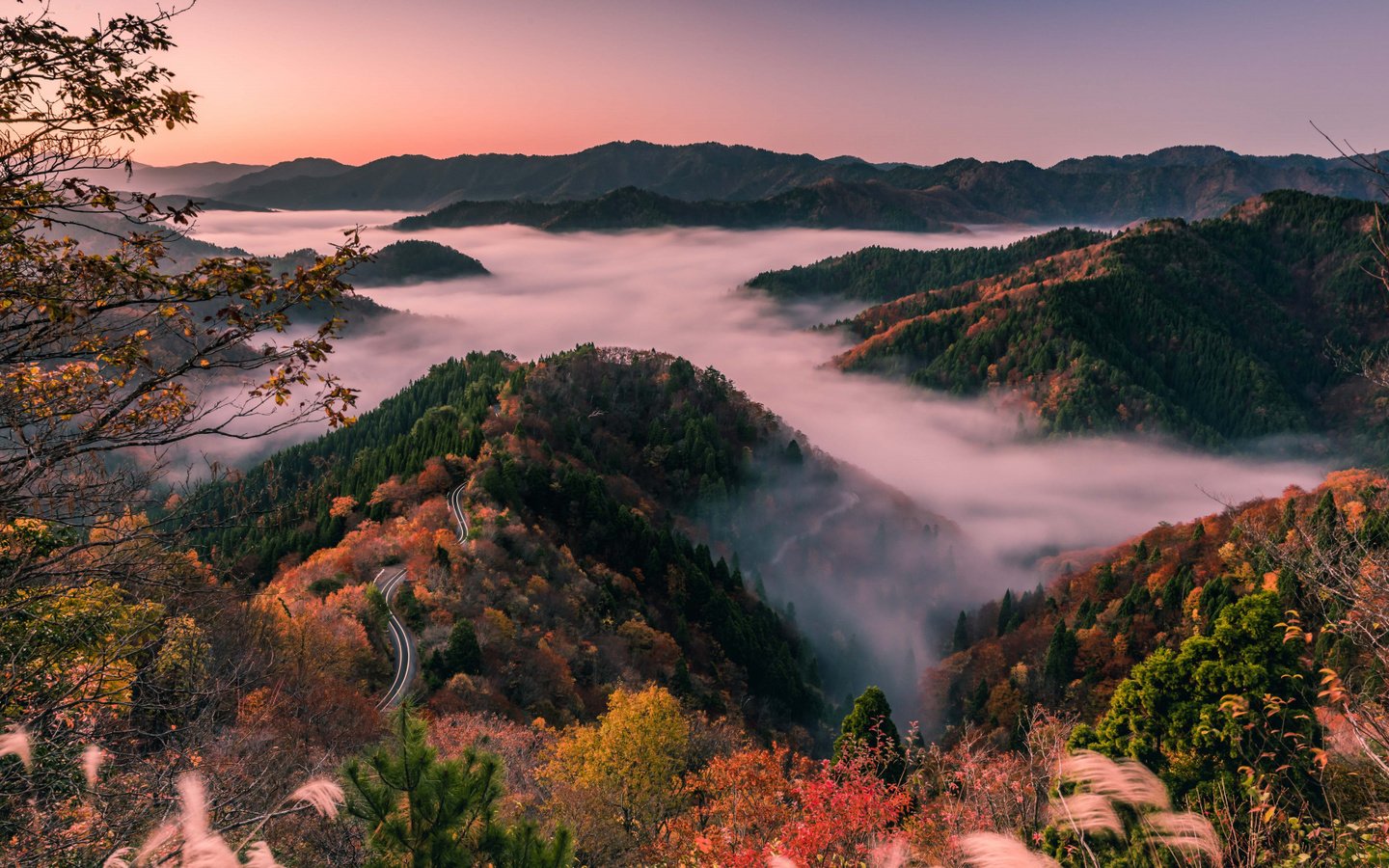 Обои японии, утренний туман, shiga prefecture, лесистые холмы, japan, morning mist, wooded hills разрешение 1920x1080 Загрузить