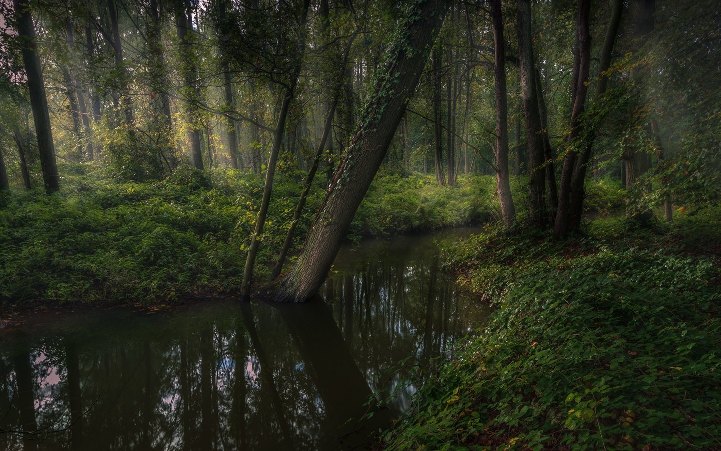 Обои река, природа, river, nature разрешение 3840x2160 Загрузить