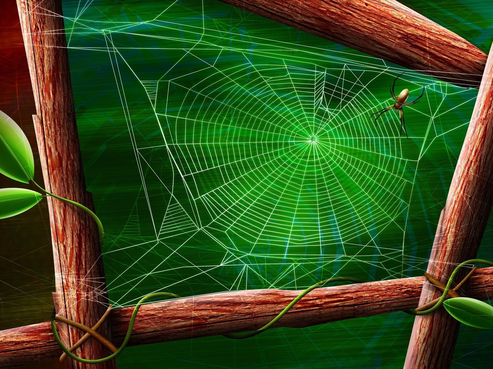 Обои зелёный, лист, паук, паутина, green, sheet, spider, web разрешение 1920x1200 Загрузить