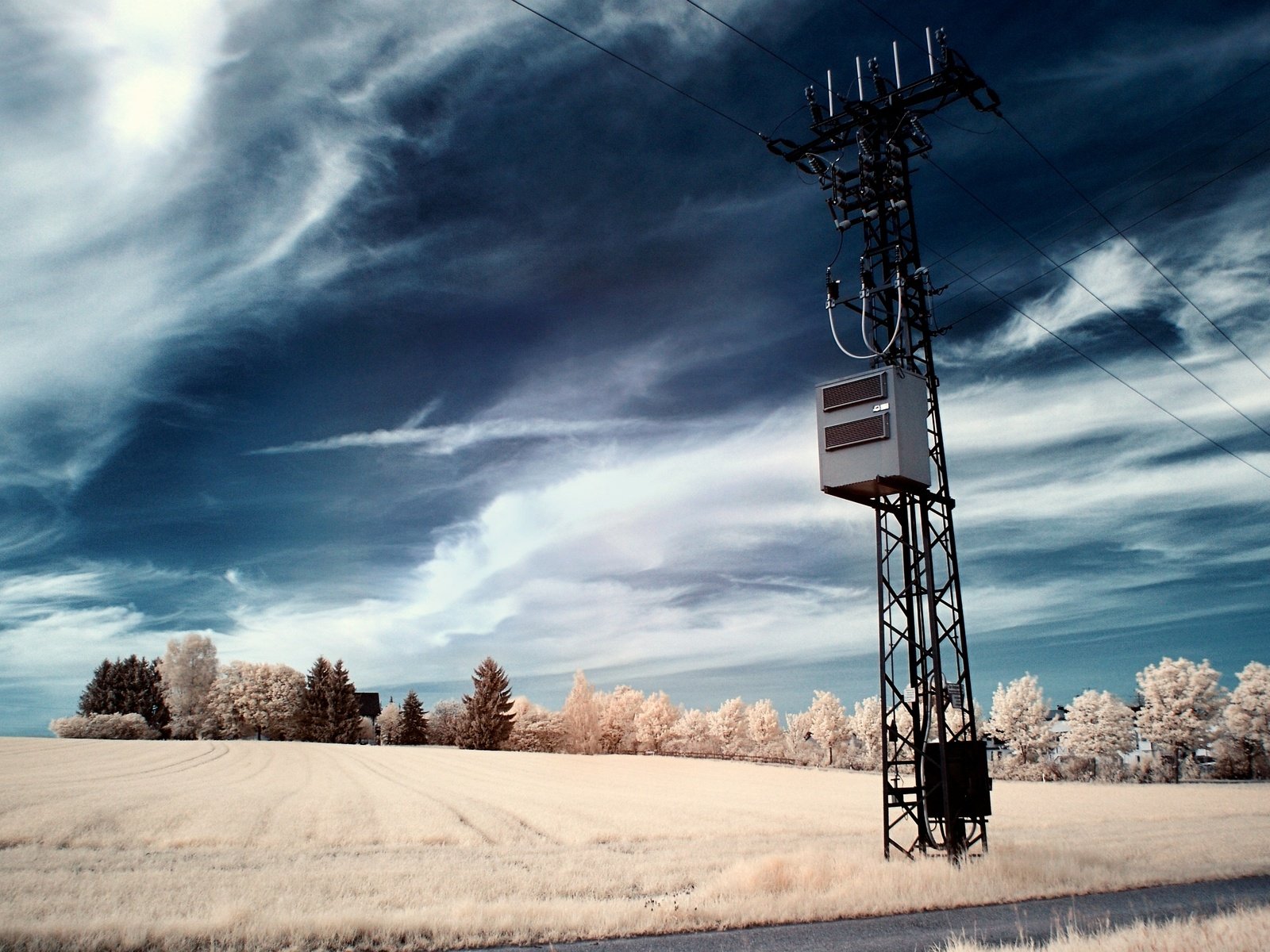 Обои небо, деревья, провода, поле, столб, the sky, trees, wire, field, post разрешение 2560x1600 Загрузить