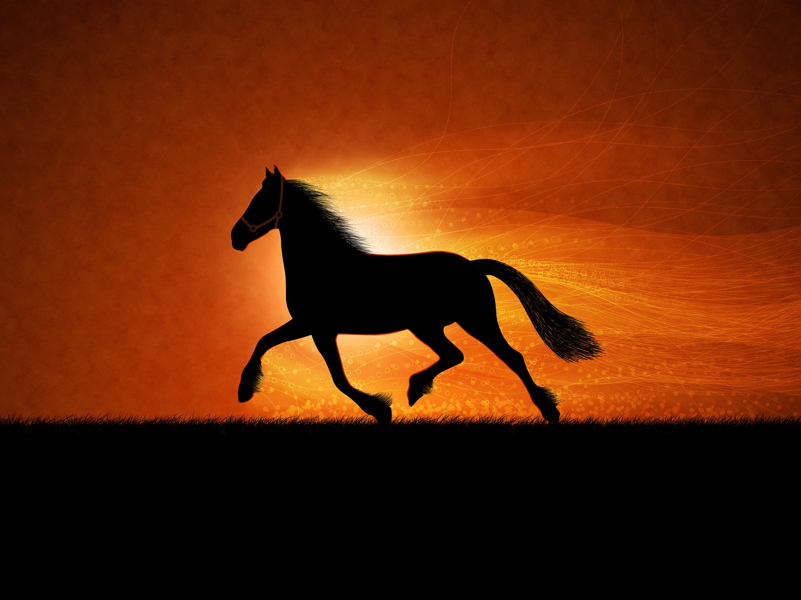 Обои рисунок, лошадь, figure, horse разрешение 2560x1600 Загрузить