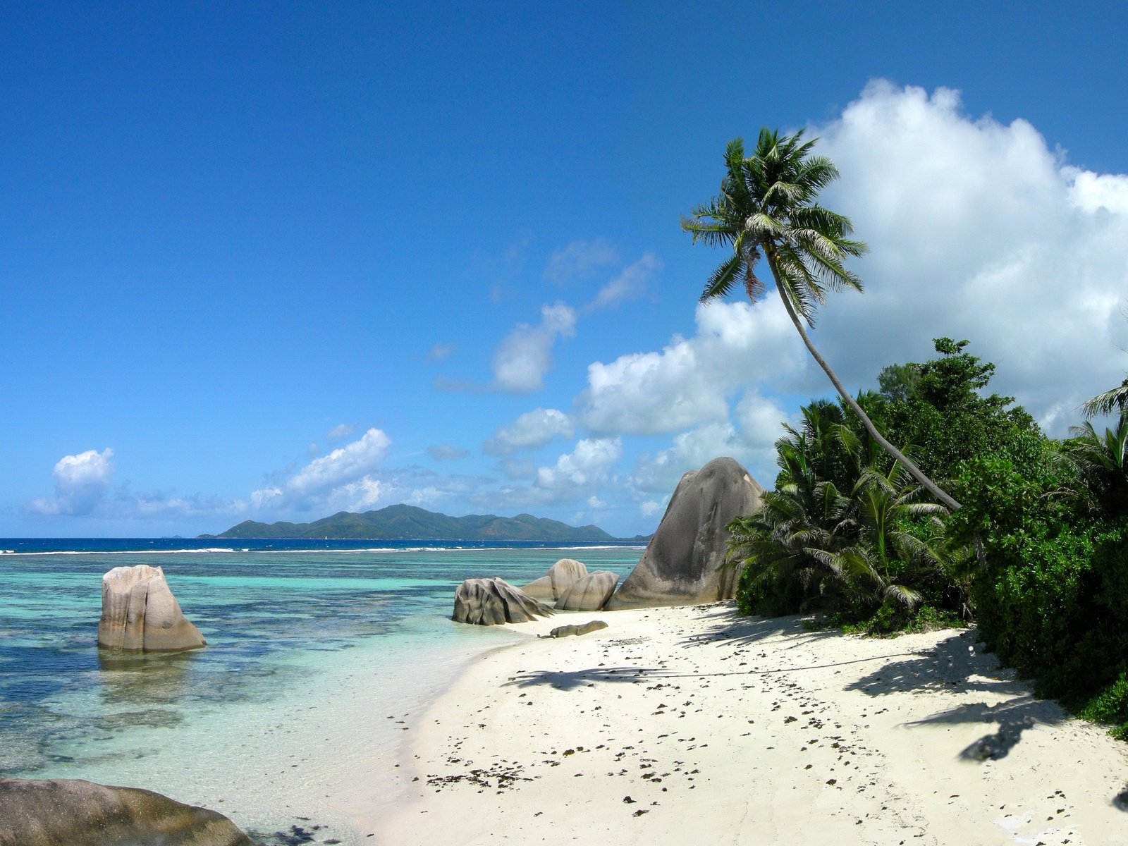 Обои море, пляж, пальмы, остров, sea, beach, palm trees, island разрешение 2000x1435 Загрузить