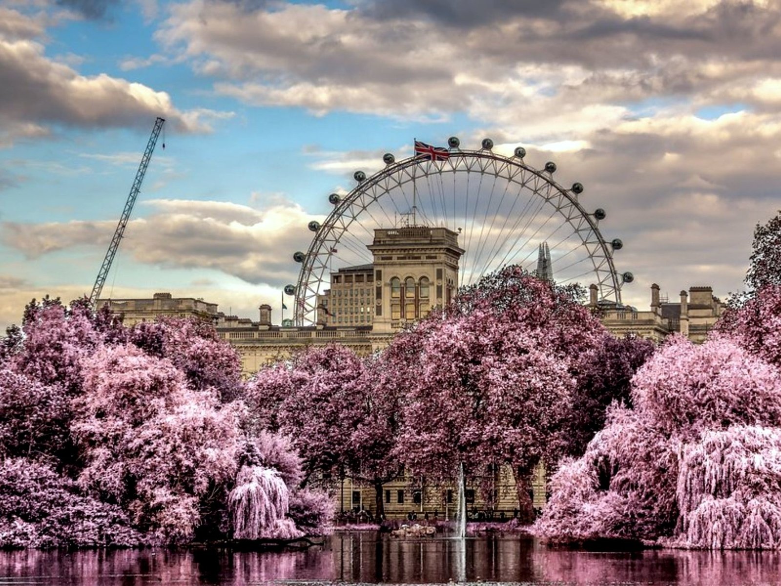 Обои цветы, облака, деревья, колесо обозрения, весна, красиво, flowers, clouds, trees, ferris wheel, spring, beautiful разрешение 2000x1333 Загрузить