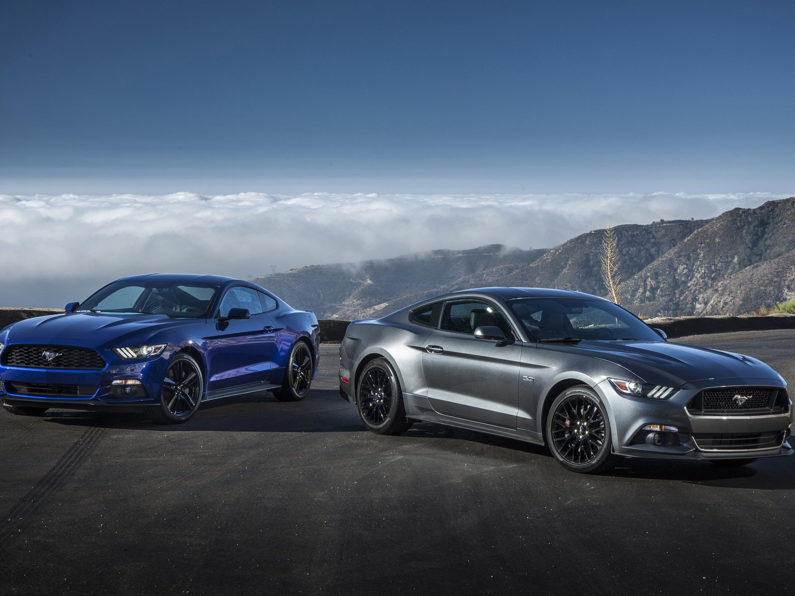 Обои мустанг, форд, ecoboost, 2015 год, гт, фон.jpg, mustang, ford, 2015, gt разрешение 2560x1600 Загрузить