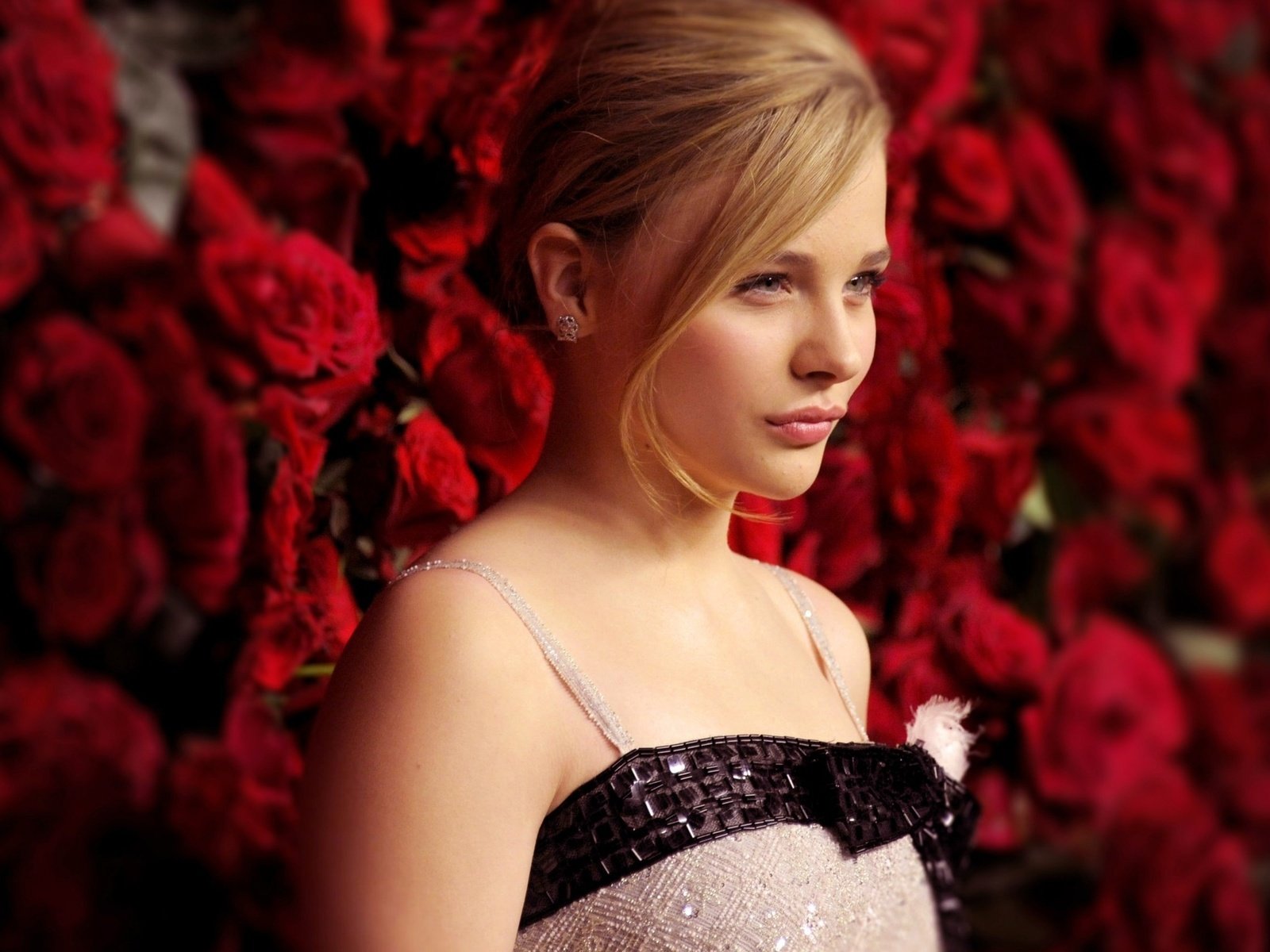 Обои розы, актриса, хлоя грейс морец, aктриса, roses, actress, chloe grace moretz разрешение 2560x1600 Загрузить