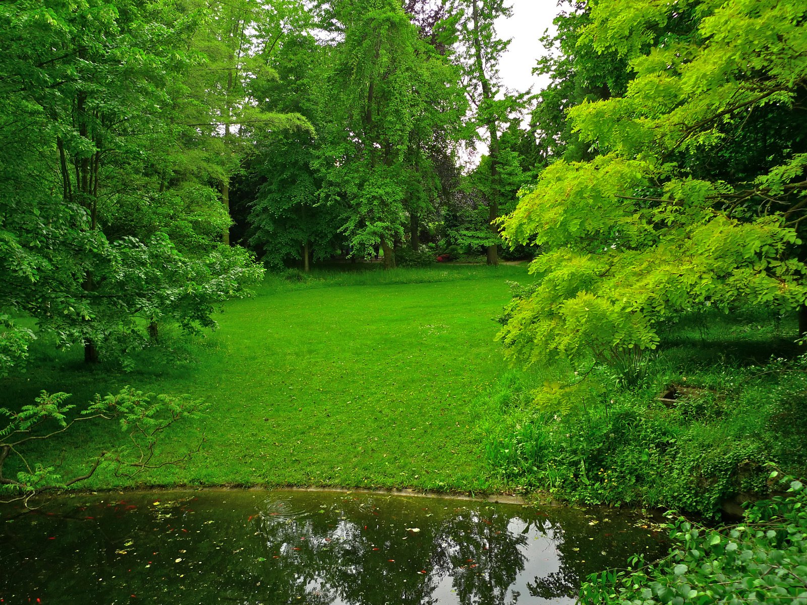 Обои трава, деревья, зелень, парк, пруд, франция, лужайка, albert-kahn japanese gardens, grass, trees, greens, park, pond, france, lawn разрешение 2592x1944 Загрузить