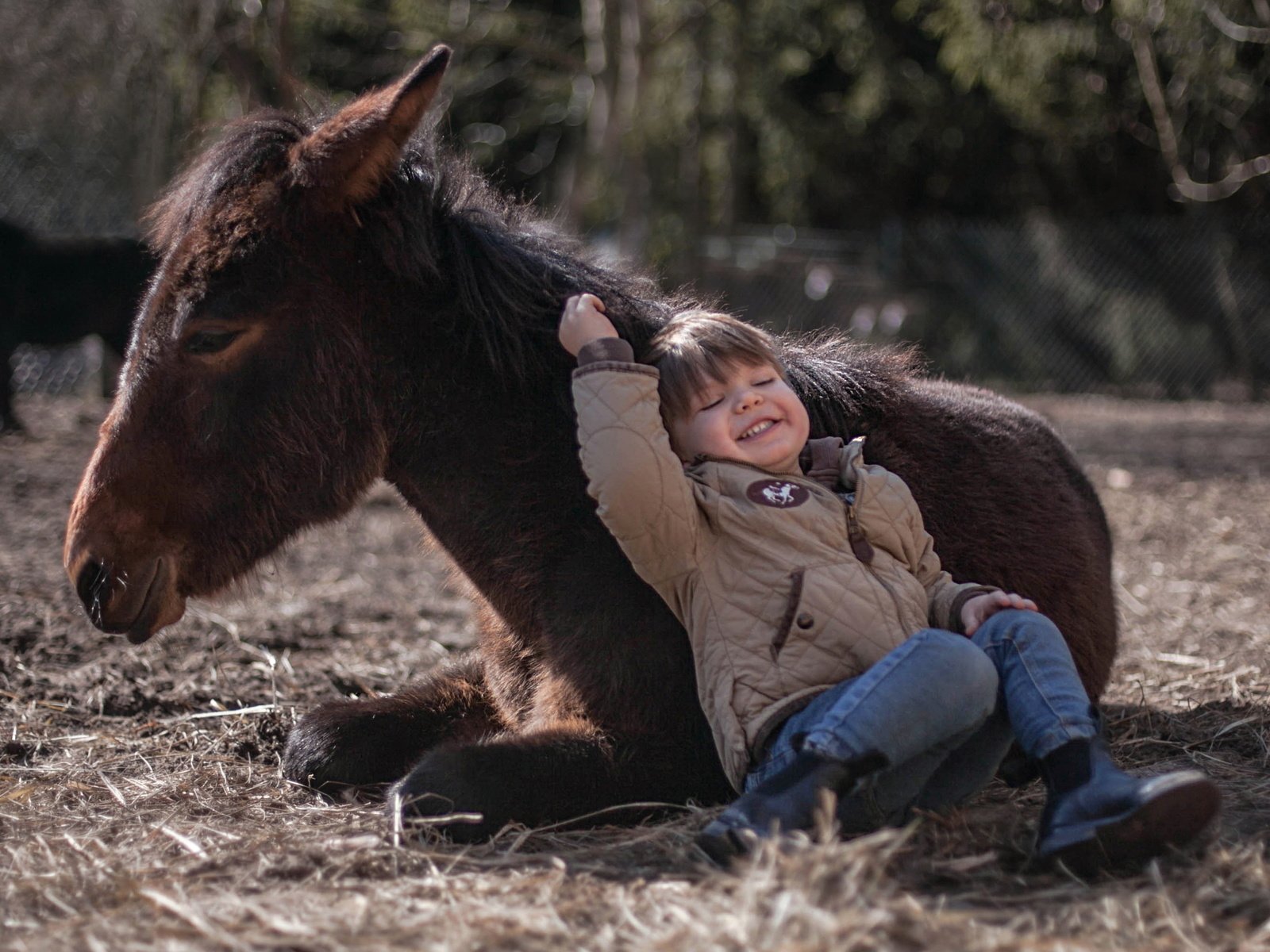 Обои фон, мальчик, пони, background, boy, pony разрешение 3479x2051 Загрузить