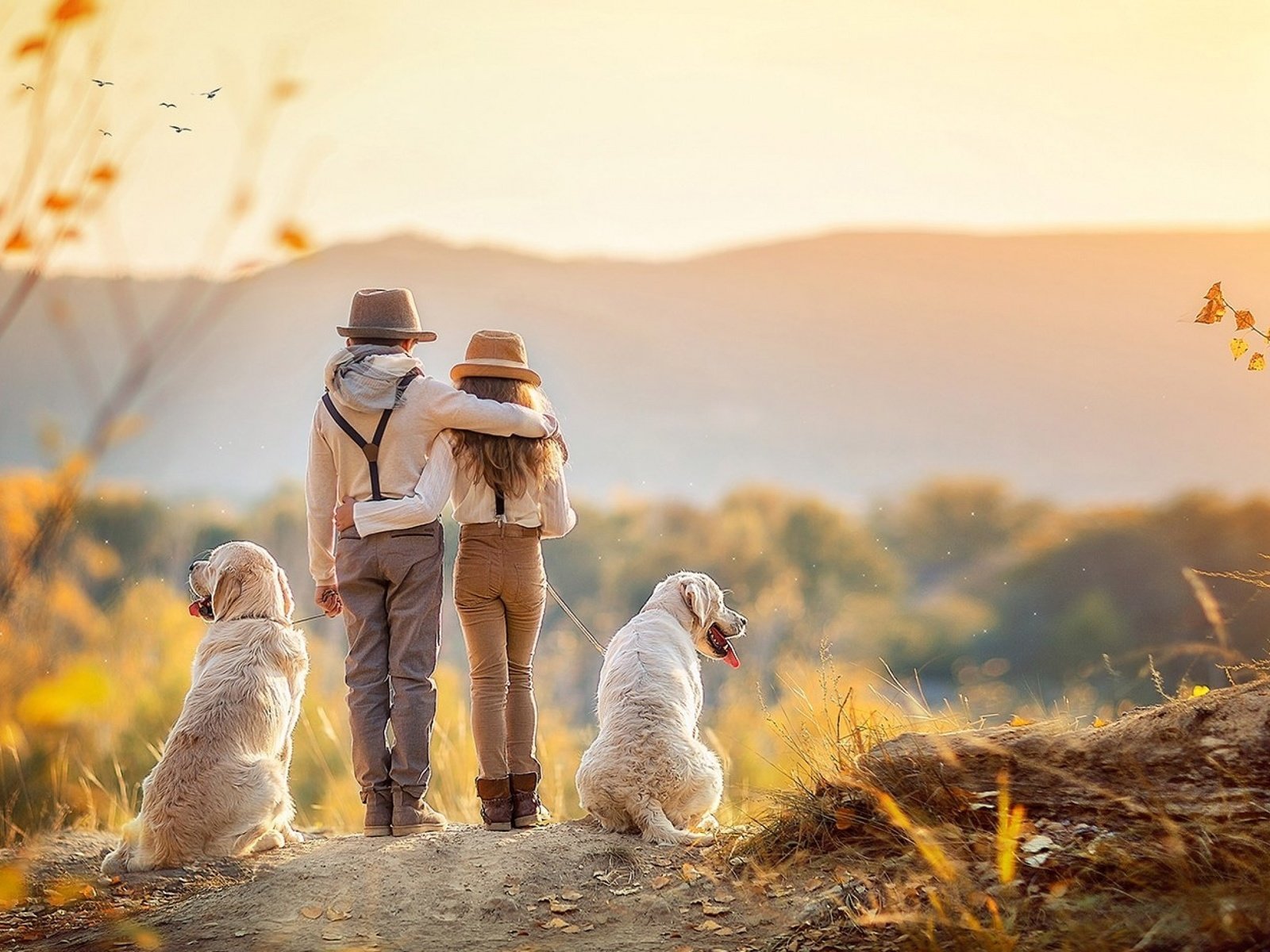 Обои осень, дети, девочка, мальчик, собаки, autumn, children, girl, boy, dogs разрешение 2560x1600 Загрузить