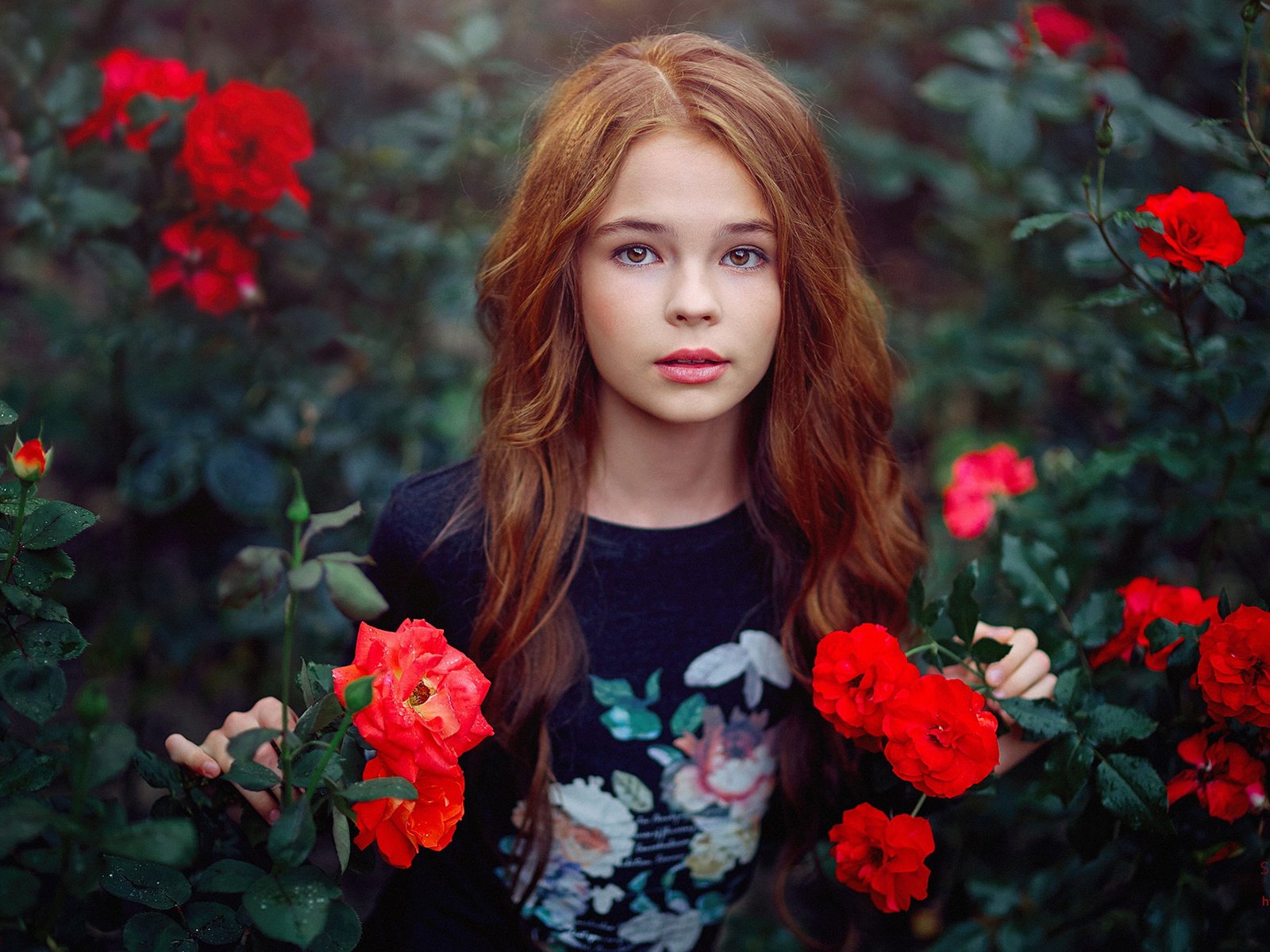 Обои цветы, девушка, настроение, розы, девочка, подросток, flowers, girl, mood, roses, teen разрешение 1920x1200 Загрузить